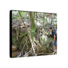 Forest Stream Adventure Matte Canvas Print — Boy Exploring Tree Roots Wall Art - Jose looks at the river - Tree has roots all over - Note the little sunlight