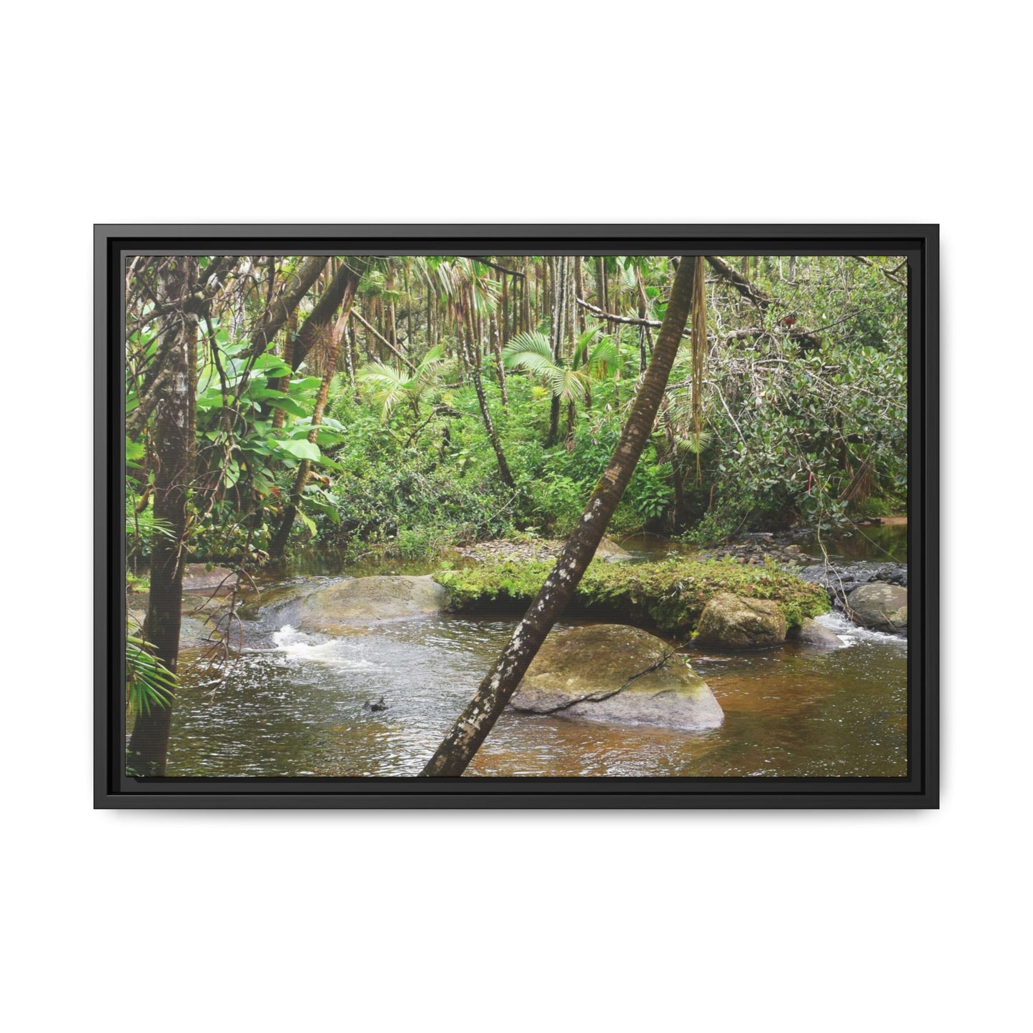 Framed Matte Canvas Wall Art — Tropical Rainforest Roots Photography - View deep in the forest in the Rio Sabana Trail