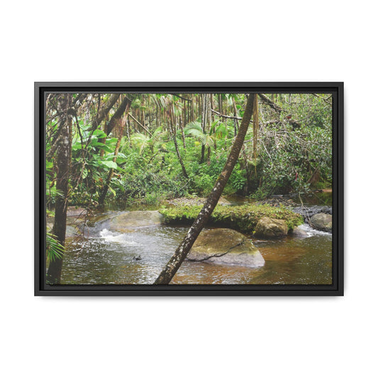 Framed Matte Canvas Wall Art — Tropical Rainforest Roots Photography - View deep in the forest in the Rio Sabana Trail