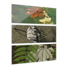 Deep Forest Explorations -The amazing Yagrumo Tree Leaves  - El Yunque RainForest  - Nikon D850 - Tropical Mountains Triptych Acrylic Print – Panoramic Jungle & Ocean Wall Art