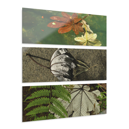 Deep Forest Explorations -The amazing Yagrumo Tree Leaves  - El Yunque RainForest  - Nikon D850 - Tropical Mountains Triptych Acrylic Print – Panoramic Jungle & Ocean Wall Art