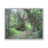 Tropical Vista Matte Canvas Framed Wall Art — Magic section of the remote Tradewinds Trail -  El Yunque rainforest PR