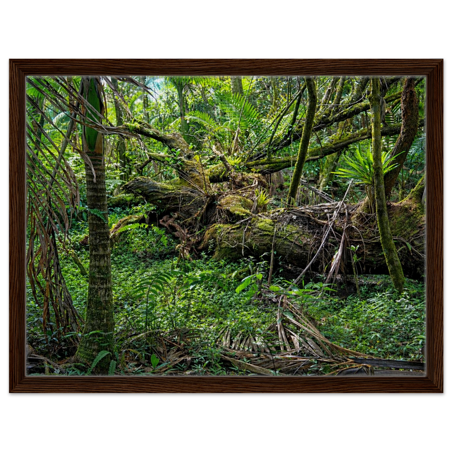 84f58705-9d25-4faa-8dc0-3d6c17ef813d