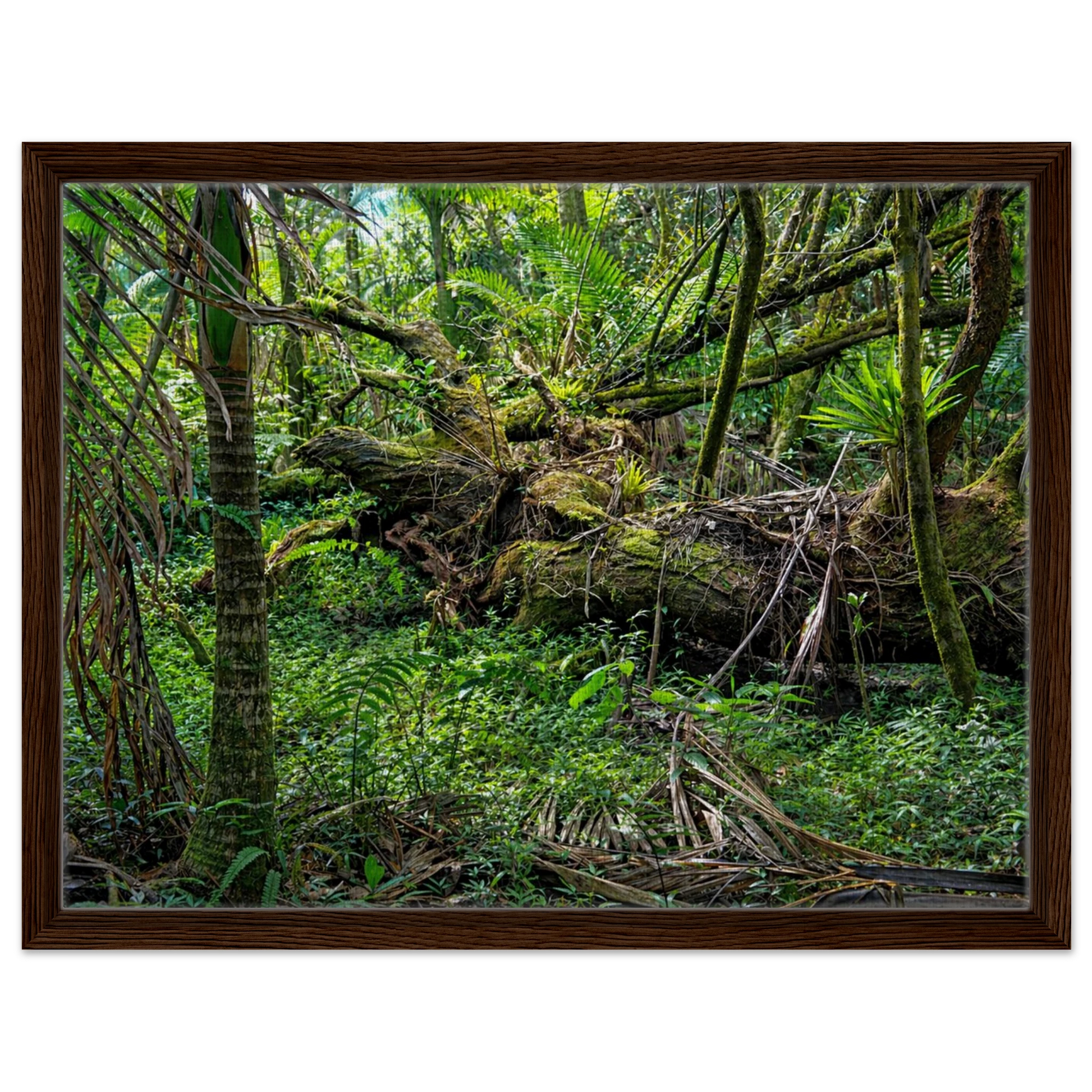 84f58705-9d25-4faa-8dc0-3d6c17ef813d