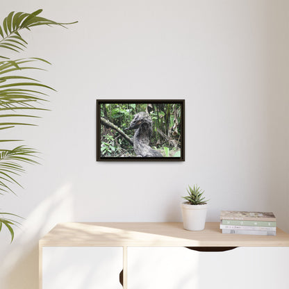 Tropical Vista Matte Canvas Framed Wall Art - Forest explorations - Deep in Sabana River Unusual Tree formations ??? -  El Yunque rainforest PR