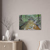 Deep Forest Explorations - El Yunque Holy Spirit River - Nikon D850 - Forest Creek Canvas Print - Stretched 0.75" Nature Wall Art