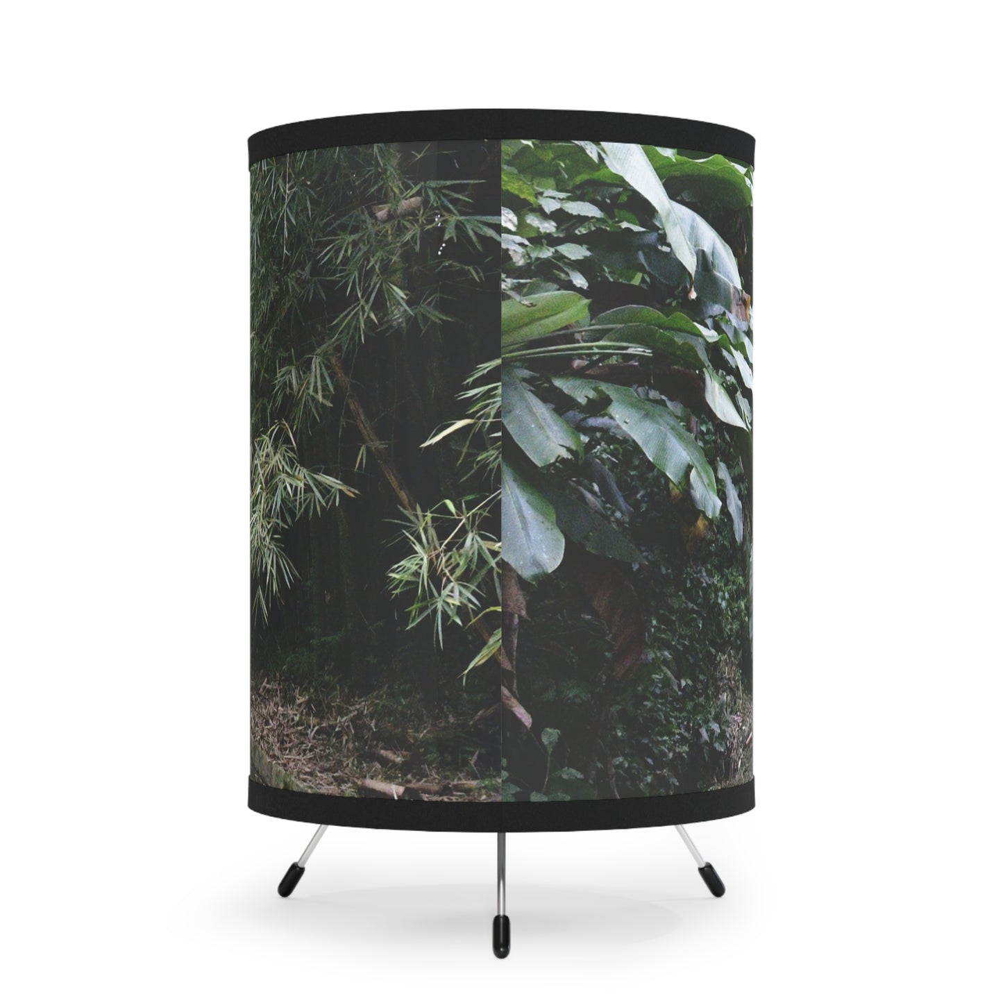 Forest Road - El Yunque rainforest  PR - Tropical Tripod Lamp — Forest Home Décor - Nikon