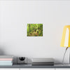 Forest Trail Matte Canvas Print – Lush Green Nature Wall Art - Hiker enjoys the BEAUTY - Mt Britton Trail - El Yunque Rainforest - Puerto Rico