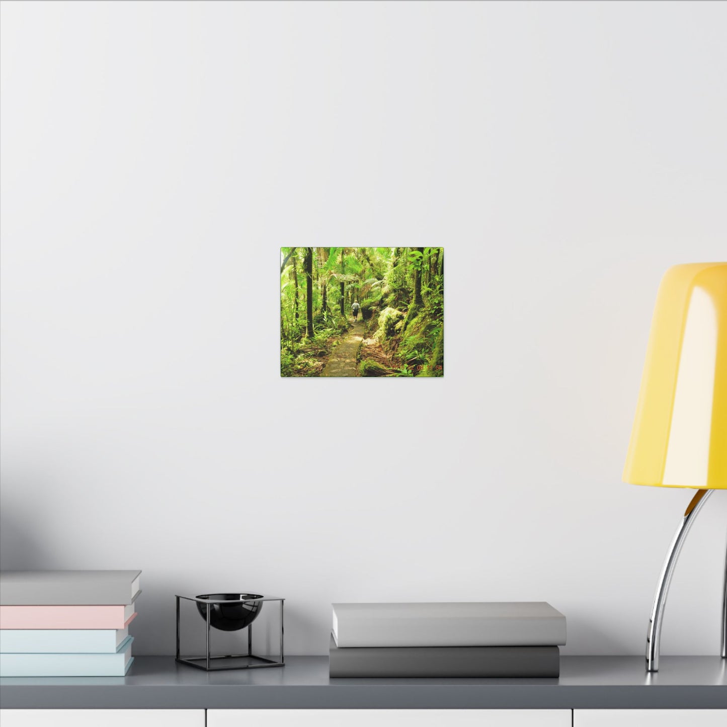 Forest Trail Matte Canvas Print – Lush Green Nature Wall Art - Hiker enjoys the BEAUTY - Mt Britton Trail - El Yunque Rainforest - Puerto Rico