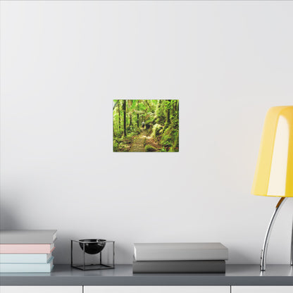 Forest Trail Matte Canvas Print – Lush Green Nature Wall Art - Hiker enjoys the BEAUTY - Mt Britton Trail - El Yunque Rainforest - Puerto Rico
