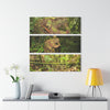 El Yunque Rainforest - Truly Weird Rotting Trees of the Deep Forest - Nikon D850 - Triptych Acrylic Print – Forest Creek Landscape Wall Art