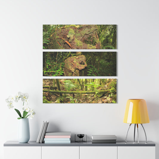 El Yunque Rainforest - Truly Weird Rotting Trees of the Deep Forest - Nikon D850 - Triptych Acrylic Print – Forest Creek Landscape Wall Art