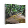 Deep Forest Explorations - El Yunque Holy Spirit River - Nikon D850 - Tropical Creek Canvas Print — Lush Rainforest River Wall Art