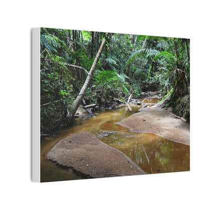 Deep Forest Explorations - El Yunque Holy Spirit River - Nikon D850 - Tropical Creek Canvas Print — Lush Rainforest River Wall Art