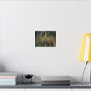 Tropical Fern Canvas Wall Art – Lush Rainforest Botanical Print - El Yunque Rainforest - Puerto Rico - Deep forest explorations - Sierra Palm seeds