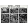 88f2bdfb-159d-4ae4-9aee-d0ea32a68d4e