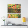 The Strong Orange Roots of the Sierra Palm - El Yunque - Nikon D850 - Triptych Acrylic Print – Forest Creek Landscape Wall Art