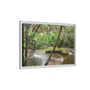 Framed Matte Canvas Wall Art — Tropical Rainforest Roots Photography - View deep in the forest in the Rio Sabana Trail