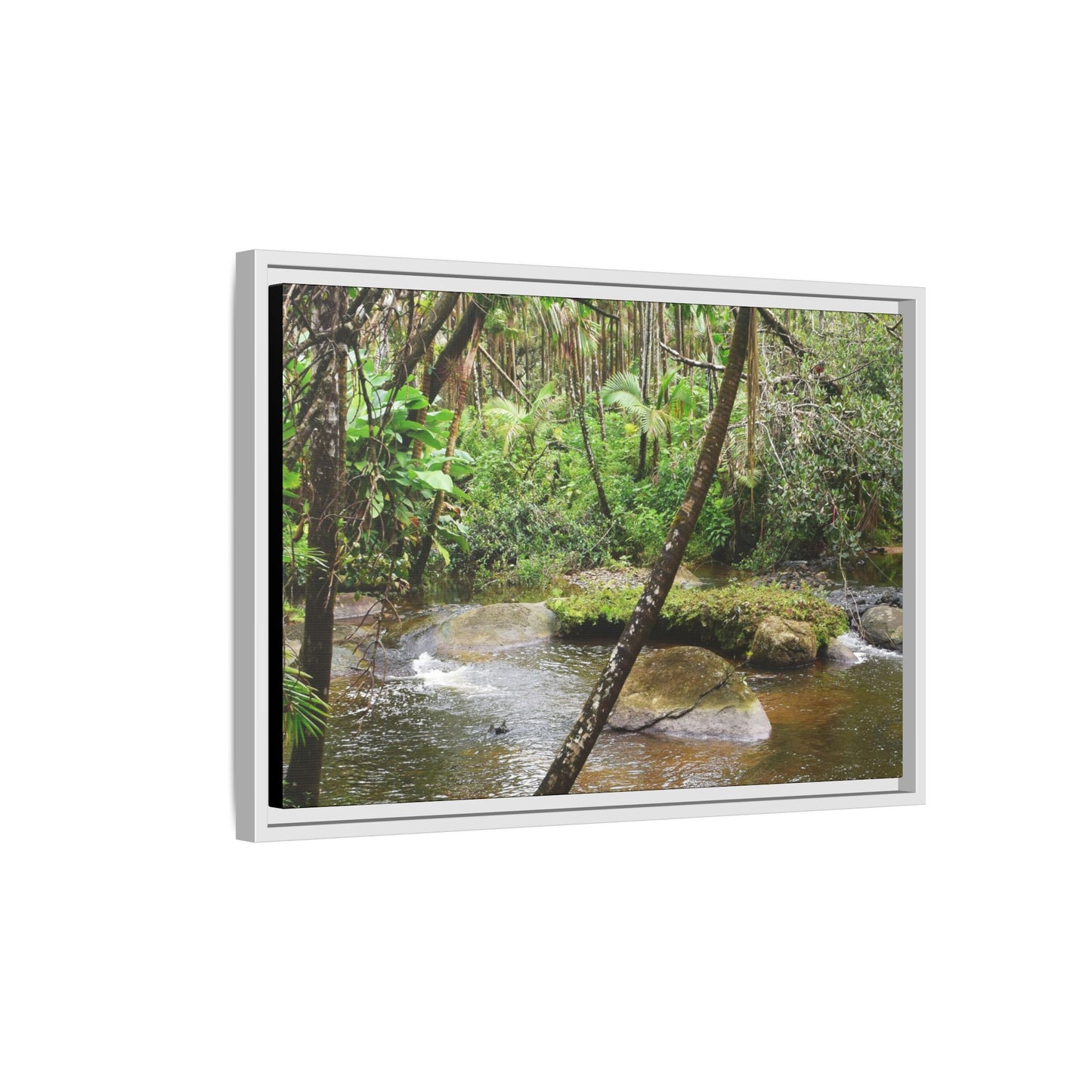 Framed Matte Canvas Wall Art — Tropical Rainforest Roots Photography - View deep in the forest in the Rio Sabana Trail