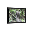 Tropical Vista Matte Canvas Framed Wall Art - Forest explorations - Deep in Sabana River Unusual Tree formations ??? -  El Yunque rainforest PR