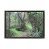 Tropical Vista Matte Canvas Framed Wall Art — Magic section of the remote Tradewinds Trail -  El Yunque rainforest PR