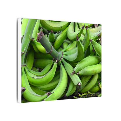 Green Banana Bunch Matte Canvas Wall Art — Tropical Kitchen Decor - Platanos in Puerto Rico - ready for cooking - for tostones etc.