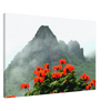 8c55324d-0823-4ff7-9287-1e757712a17a