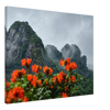 8c6cd871-40d9-4313-b1f8-f14696f863eb