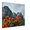 8f93e60c-d4b5-468c-8343-45ef33518b27