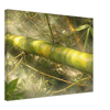 8fdce804-dba2-4b5e-bd56-cd24d2cdc9f0