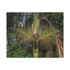 Tropical Fern Canvas Wall Art – Lush Rainforest Botanical Print - El Yunque Rainforest - Puerto Rico - Deep forest explorations - Sierra Palm seeds