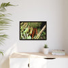 Framed Matte Canvas Wall Art — Tropical Rainforest Roots Photography - The strong orange roots of the Sierra Palm - that can survive hurricanes