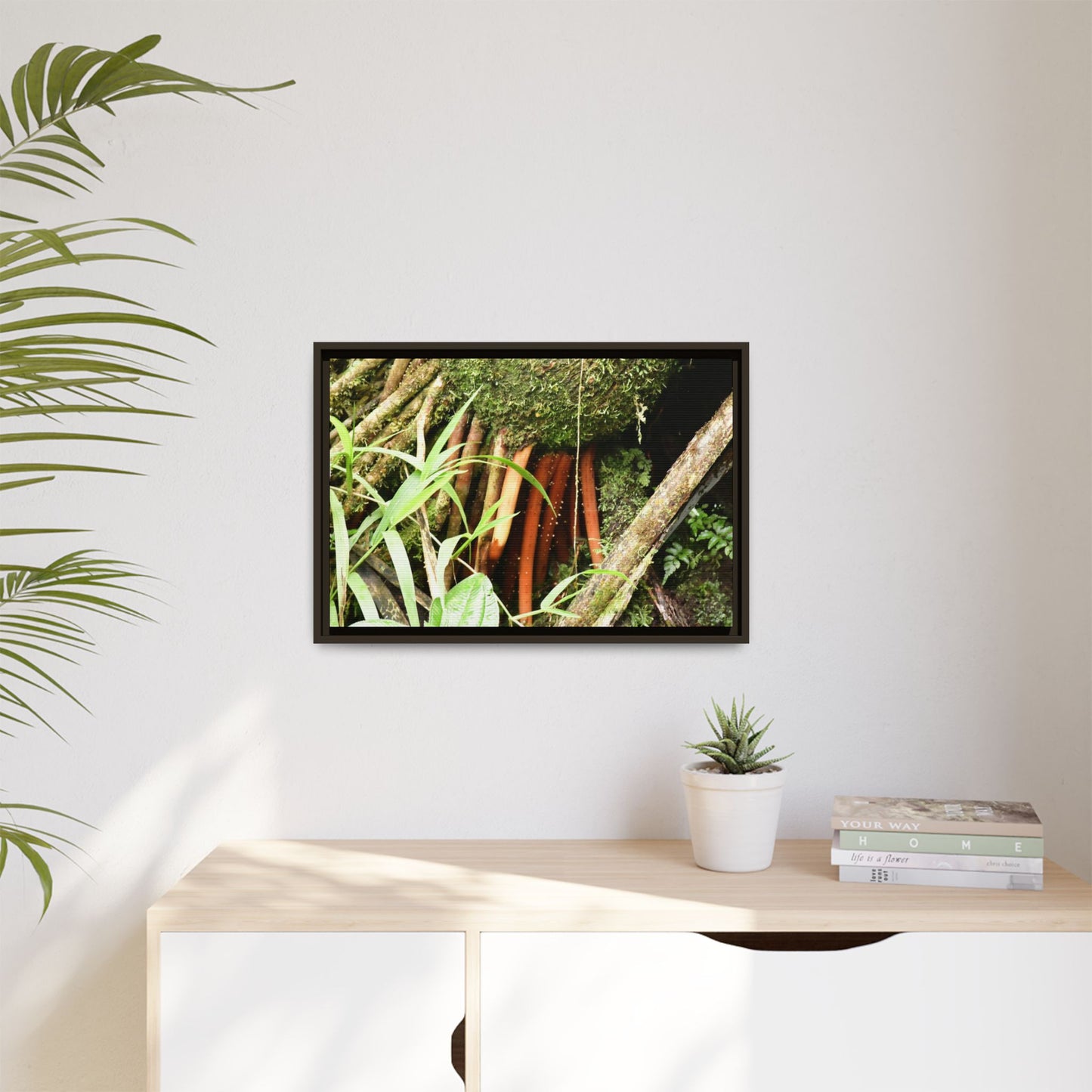 Framed Matte Canvas Wall Art — Tropical Rainforest Roots Photography - The strong orange roots of the Sierra Palm - that can survive hurricanes