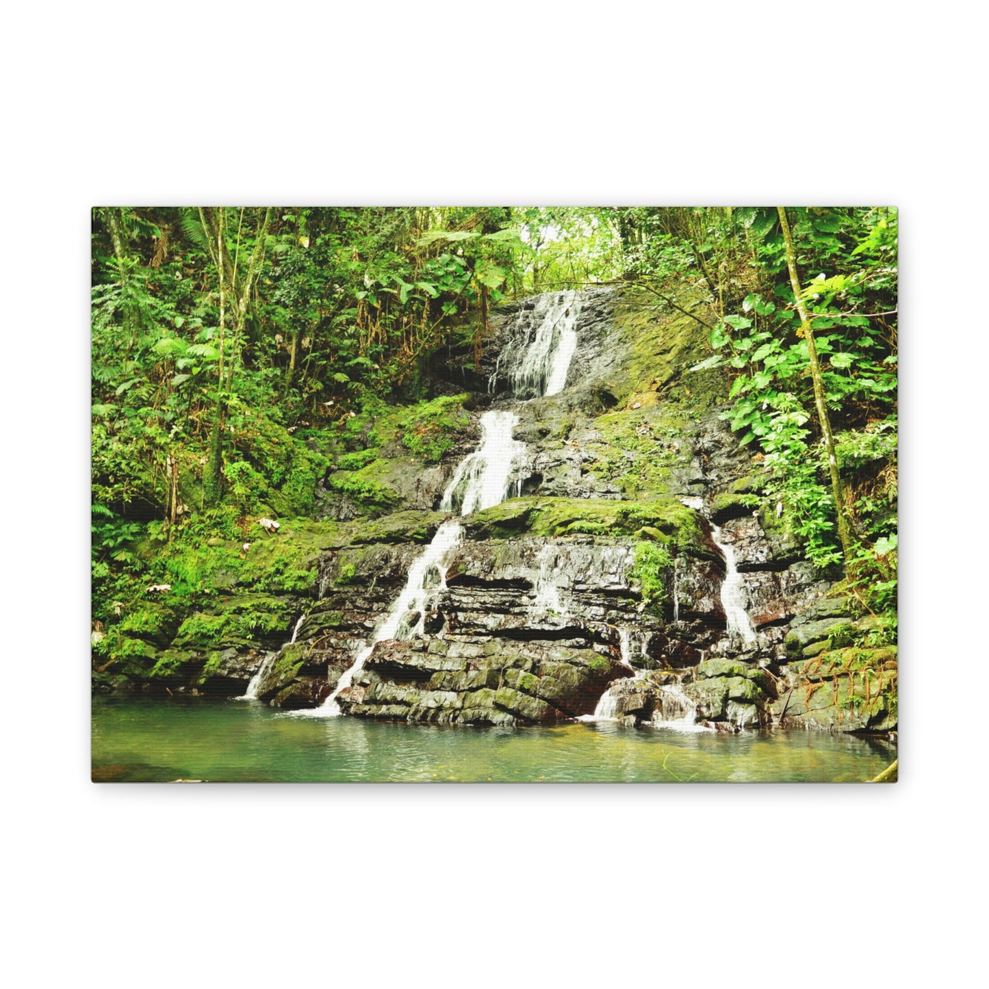 Tropical Waterfall Canvas Wall Art — Lush Jungle Landscape Print