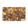 Autumn Leaf Floor Canvas Print — Deep Forest Explorations - El Yunque - Nikon D850 Stretched Wall Art (0.75")