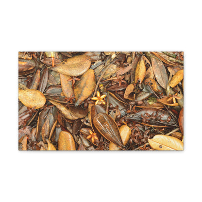 Autumn Leaf Floor Canvas Print — Deep Forest Explorations - El Yunque - Nikon D850 Stretched Wall Art (0.75")