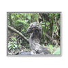 Tropical Vista Matte Canvas Framed Wall Art - Forest explorations - Deep in Sabana River Unusual Tree formations ??? -  El Yunque rainforest PR