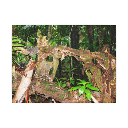 Tropical Rainforest Canvas Print — Lush Jungle Nature Wall Art - El Yunque Rainforest - Puerto Rico - Deep forest explorations - fallen tree