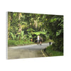 Tropical Road Walk Canvas — Couple with cat and dog in El Yunque - Scenic Nature Wall Art
