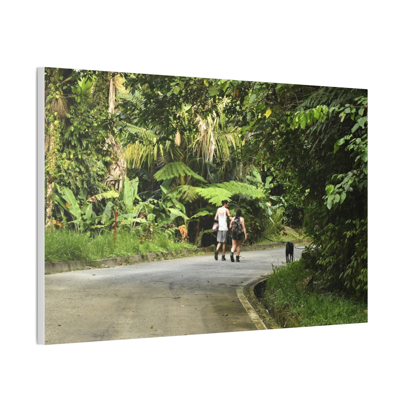 Tropical Road Walk Canvas — Couple with cat and dog in El Yunque - Scenic Nature Wall Art