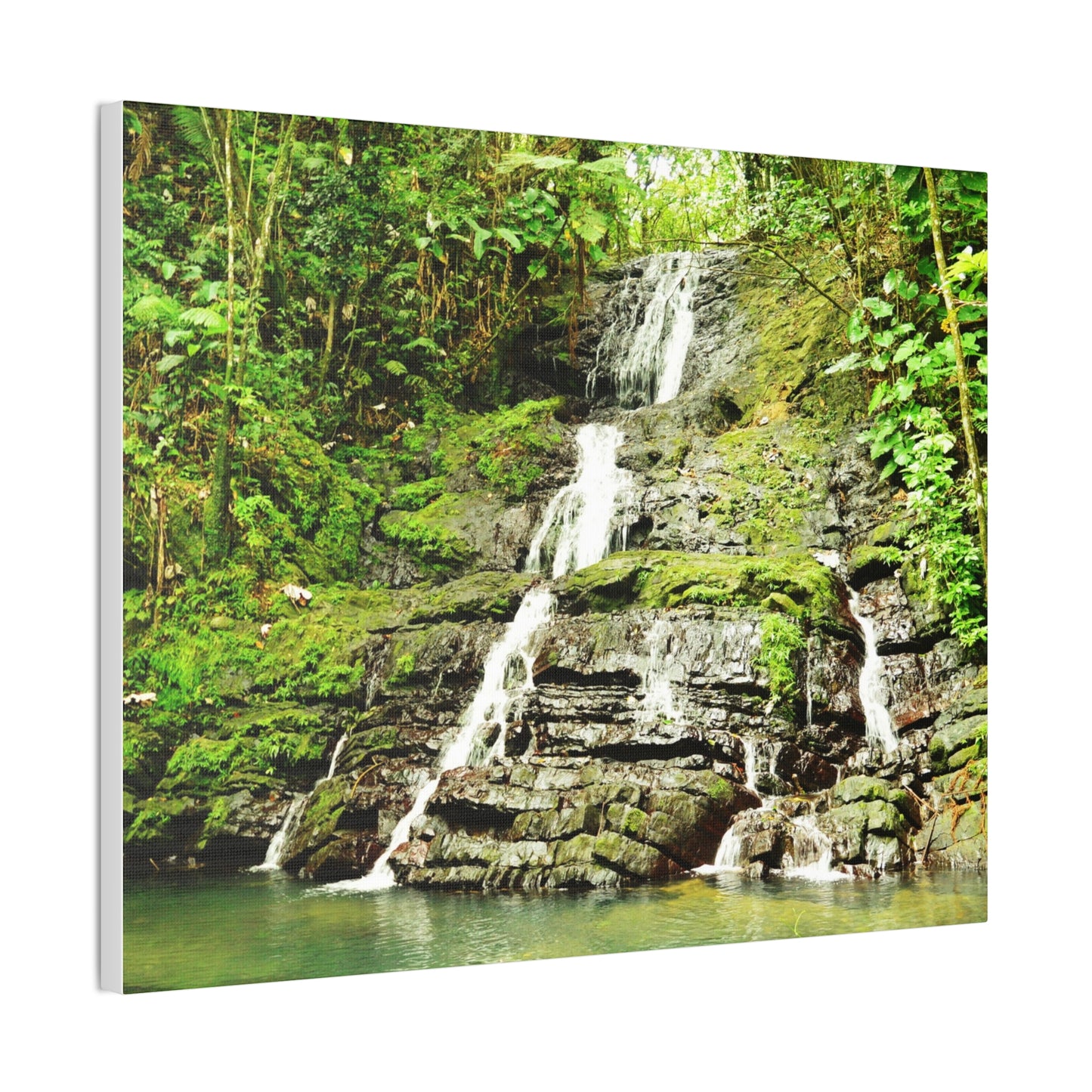 Tropical Waterfall Canvas Wall Art — Lush Jungle Landscape Print
