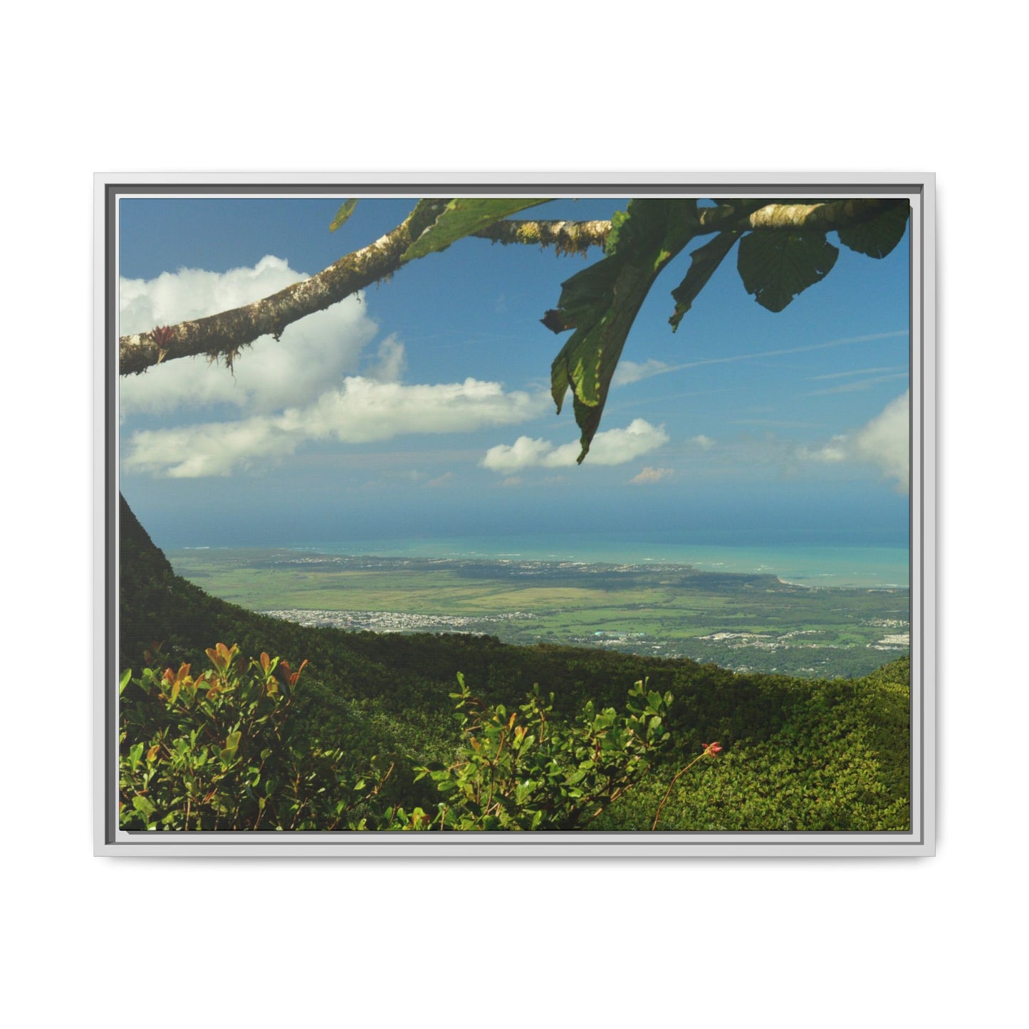 Tropical Vista Matte Canvas Framed Wall Art — Lush Mountain to Ocean Landscape - View from the Three Peaks of the Atlantic Ocean - El Yunque rainforest PR