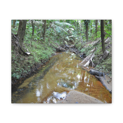 Deep Forest Explorations - El Yunque Holy Spirit River - Nikon D850 - Forest Creek Canvas Print - Stretched 0.75" Nature Wall Art