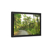 Tropical Vista Matte Canvas Framed Wall Art — Lush Mountain road the PR 191 High forest - El Yunque rainforest PR