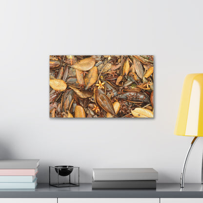 Autumn Leaf Floor Canvas Print — Deep Forest Explorations - El Yunque - Nikon D850 Stretched Wall Art (0.75")