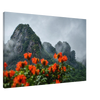 92600dca-b7a5-4950-ad0a-46bd3b16356e