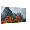 92cbc3aa-d778-421e-9dc2-4c09df07d69c