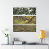 Mangled Bamboos, Rio Sabana Forest after Hurricane Maria in 2017 - Nikon D850 - Triptych Acrylic Print – Panoramic Jungle Wall Aert