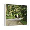 Tropical Road Walk Canvas — Couple with cat and dog in El Yunque - Scenic Nature Wall Art