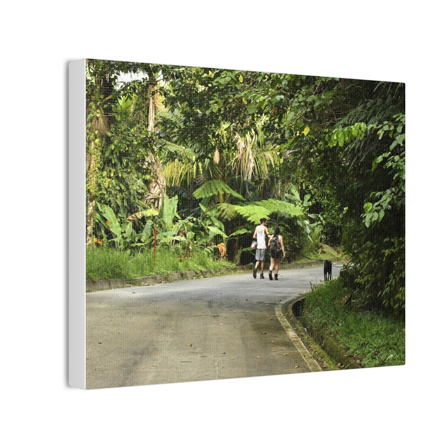 Tropical Road Walk Canvas — Couple with cat and dog in El Yunque - Scenic Nature Wall Art